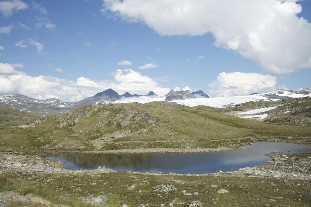 Dalsoren Camping Og Hytter Luster Bagian luar foto